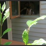 17 07 28 Dishwasher Creep_68733d53ae7be.jpeg