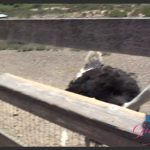 ATKGirlfriends 25 07 03 Summer Renee Central Cali 1_687281c7036fb.jpeg