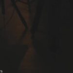 ManyVids 2025 JackandJill And Ava Amira Ticketshow XXX 1080p MP4 P2P_6872c0d6496b3.jpeg