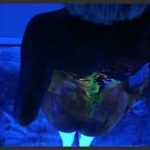 NikkiSims 14 09 19 Black Light Body Paint_687509db2f336.jpeg